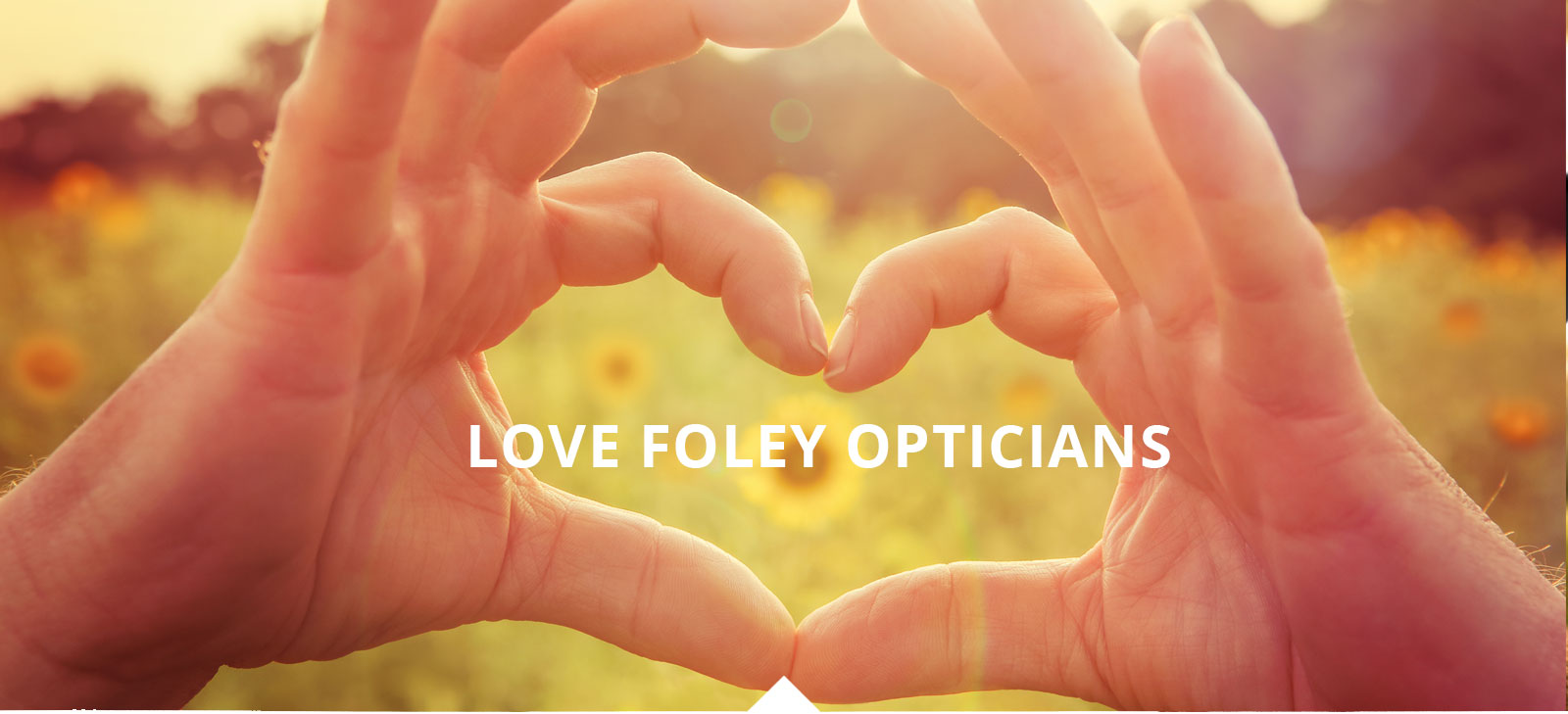 Love Foley Opticians, branded glasses, eye health, wexford business